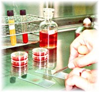 Phòng chống sốt rét trong tương lai: Chú trọng phương pháp kiểm soát dịch bệnh, ảnh hưởng từ biến đổi khí hậu chỉ là một phần.