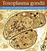 Giới thiệu về bệnh Toxoplamosis ở người nhân 2 trường hợp nhiễm đơn bào Toxoplasma gondii