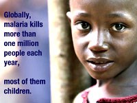 Sự bí ẩn trong những thử nghiệm bất thành của các vaccine sốt rét