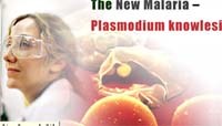 Nhiều nghiên cứu tập trung vào loài ký sinh trùng sốt rét ở khỉ Plasmodium knowlesi