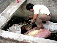 Tình hình sốt xuất huyết khu vực miền Trung 5 tháng đầu năm và triển khai hoạt động trong các tháng cuối năm 2010