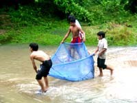 Bình Định chỉ đạo tăng cường công tác phòng chống sốt rét các tháng cuối năm 2010