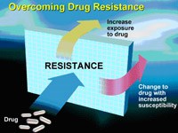 Mối đe dọa từ kháng thuốc và hành động của chúng ta