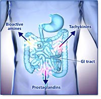 Hội chứng carcinoid: Một bệnh lý hiếm gặp nhưng nguy hiểm