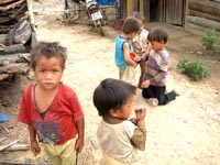 Chỉ đạo của Bộ Y tế về tăng cường công tác phòng chống sốt rét năm 2010