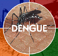 Tình hình dịch sốt xuất huyết và hoạt động phòng chống sốt xuất huyết khu vực miền Trung-Tây Nguyên 6 tháng đầu năm 2010