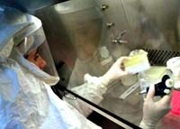 Nguồn gốc và cảnh báo sự xuất hiện nguy hiểm của gen NDM-1 trong vi khuẩn