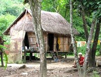 Các điểm nóng sốt rét tại khu vực miền Trung-Tây Nguyên tạm thời được khống chế trong tháng 7 năm 2010