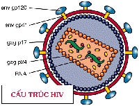 Triệu chứng nhiễm HIV và dấu hiệu chuyển sang bệnh AIDS