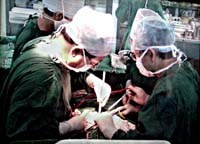 Điểm báo về các thông tin liên quan đến y tế ngày 15 & 16 tháng 8 năm 2010