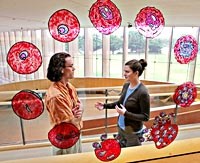 Khả năng các loài ký sinh trùng sốt rét trên động vật có thể truyền sang người ?