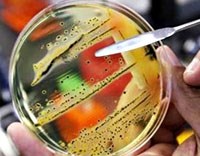 Thông tin cập nhật về vi khuẩn siêu kháng thuốc trên thế giới (super-resistant bacteria)