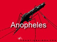 Các nghiên cứu và phân tích về mặt di truyền: Niềm hy vọng cho phòng chống lại sốt rét và sốt xuất huyết