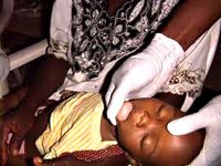 Sốt rét ác tính – nhiều vấn đề chưa lý giải thấu đáo