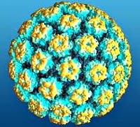 Cập nhật về ung thư cổ tử cung- Lợi điểm vaccine phòng bệnh do virus HPV (Human Papiloma Virus)