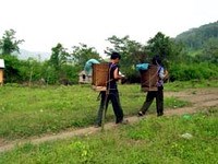 Hoạt động chính của Viện Sốt rét-Ký sinh trùng-Côn trùng Quy Nhơn và các tỉnh khu vực miền Trung-Tây Nguyên tháng 7 và 8 năm 2010