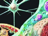 Cập nhật thông tin y dược tháng 10-2010