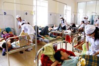 Tỉnh Gia Lai nỗ lực khống chế dịch bệnh sốt xuất huyết