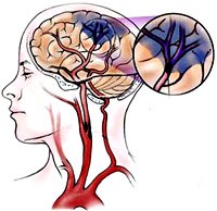 Điểm báo về các thông tin liên quan đến y tế ngày 3 tháng 10 năm 2010