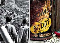 Điều cần biết khi sử dụng hóa chất diệt côn trùng