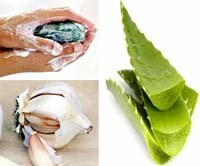 Mẹo trị vết muỗi đốt