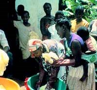 Sự tiến hóa có thể tạo ra hai loài muỗi sốt rét mới