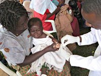 Nên điều trị sốt rét ác tính bằng artesunate thay vì quinine trên toàn cầu