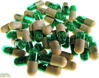 Lạm dụng kháng sinh: vấn đề cần quan tâm