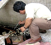 Tỉnh Phú Yên công bố hết dịch sốt xuất huyết