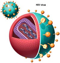 Điểm báo về các thông tin liên quan đến y tế ngày 2 & 3 tháng 12 năm 2010