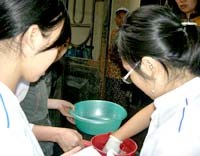 Lo ngại trước thông tin nước xử lý Chloramin B gây ung thư