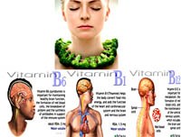 Vai trò của Vitamine B2, B6 và B12 trong điều trị