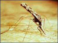 Cập nhật các ấn phẩm (Publications) cần quan tâm về nghiên cứu ký sinh trùng trên thế giới trong năm 2010