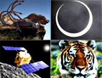 10 sự kiện khoa học thế giới năm 2010