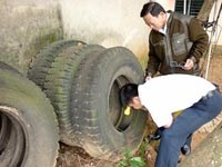 Tình hình sốt rét, sốt xuất huyết, các bệnh ký sinh trùng và côn trùng truyền bệnh 11 tháng năm 2010