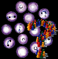 Trả lời câu hỏi bạn đọc về chuyên đề sốt rét, ký sinh trùng và côn trùng truyền bệnh tháng 1 năm 2011