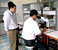 Phương pháp nào để tập huấn chuyên môn đạt hiệu quả ?