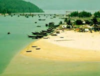 20 năm phòng, chống sốt rét để tiến tới loại trừ bệnh ra khỏi cộng đồng tại tỉnh Thừa Thiên Huế trong thời gian đến