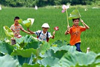 Chiều làng quê