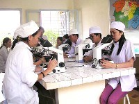 Thừa Thiên Huế tiếp tục đẩy lùi bệnh sốt rét trong năm 2010