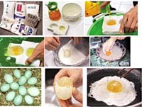 Thông tin cập nhật về vệ sinh an toàn thực phẩm trong nước và thế giới,2011