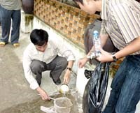 Khu vực miền Trung-Tây Nguyên triển khai thí điểm kiểm soát véc tơ truyền bệnh sốt xuất huyết