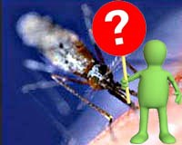 Trả lời câu hỏi bạn đọc về chuyên ngành ký sinh trùng tháng 2/2011