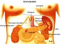 6 thay đổi của cơ thể khi bị mắc bệnh sốt rét