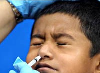 Nguy cơ tái bùng phát đại dịch cúm A (H1N1) tại Việt Nam trong năm 2011