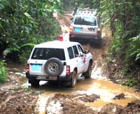 Sốt rét là một bệnh không biên giới