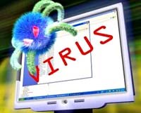 Năm 2010: virut  ngốn  5.900 tỉ đồng