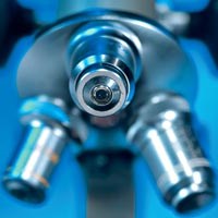 Tác hại của nấm mốc và bảo quản kính hiển vi đảm bảo chất lượng chẩn đoán  ký sinh trùng bằng phương pháp nhuộm giemsa