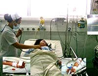 Phương pháp mới cứu sống bệnh nhân sốc do sốt xuất huyết