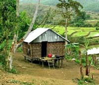 Bình Định  chỉ đạo  tăng cường công tác giám sát, ổn định tình hình sốt rét gia tăng  các tháng đầu năm 2011.